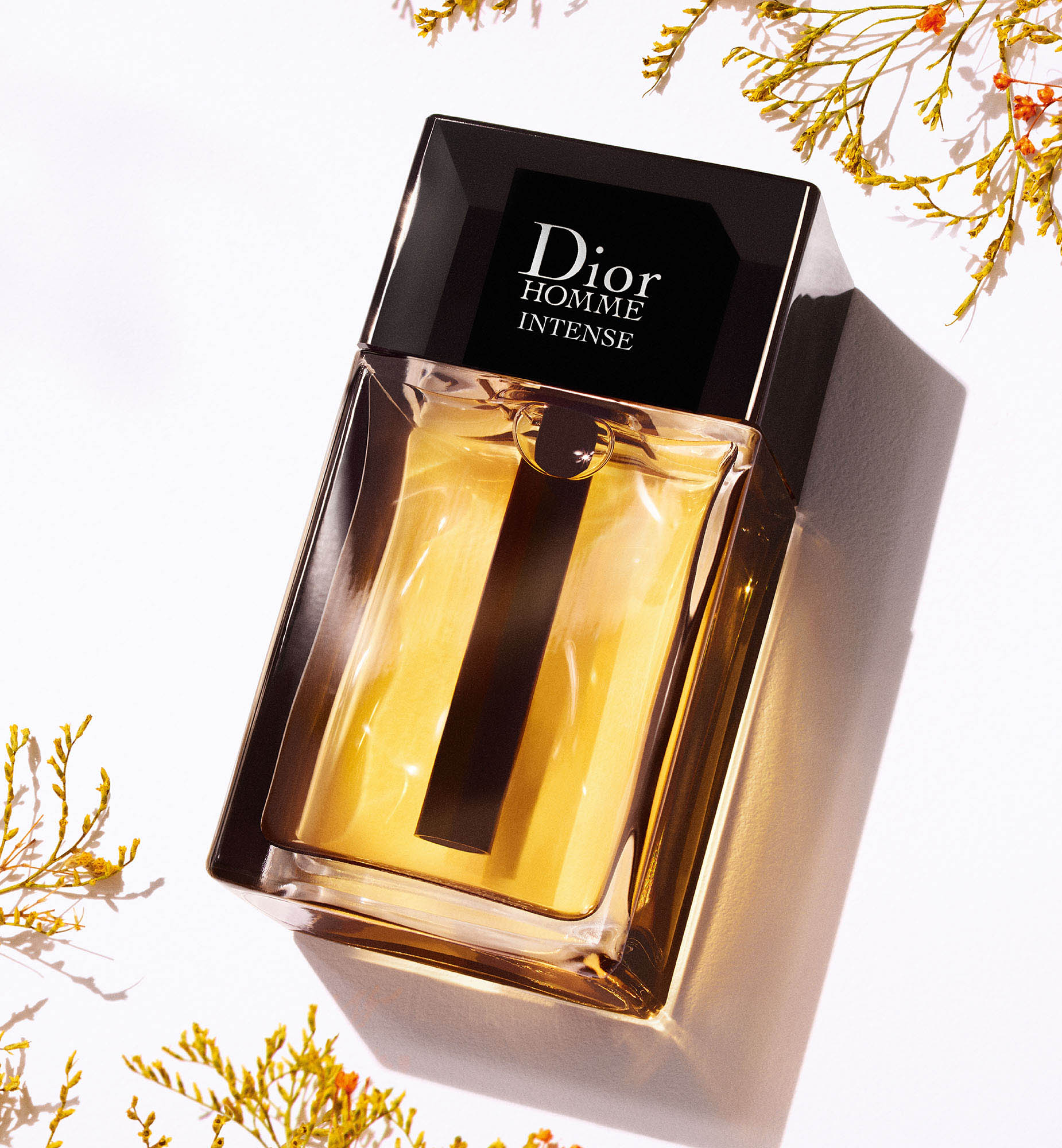 น้ำหอมผู้ชาย DIOR HOMME INTENSE—Eau de Parfum intense—น้ำหอมผู้ชาย กลิ่นชัดและทรงพลัง ให้ความเย้ายวน