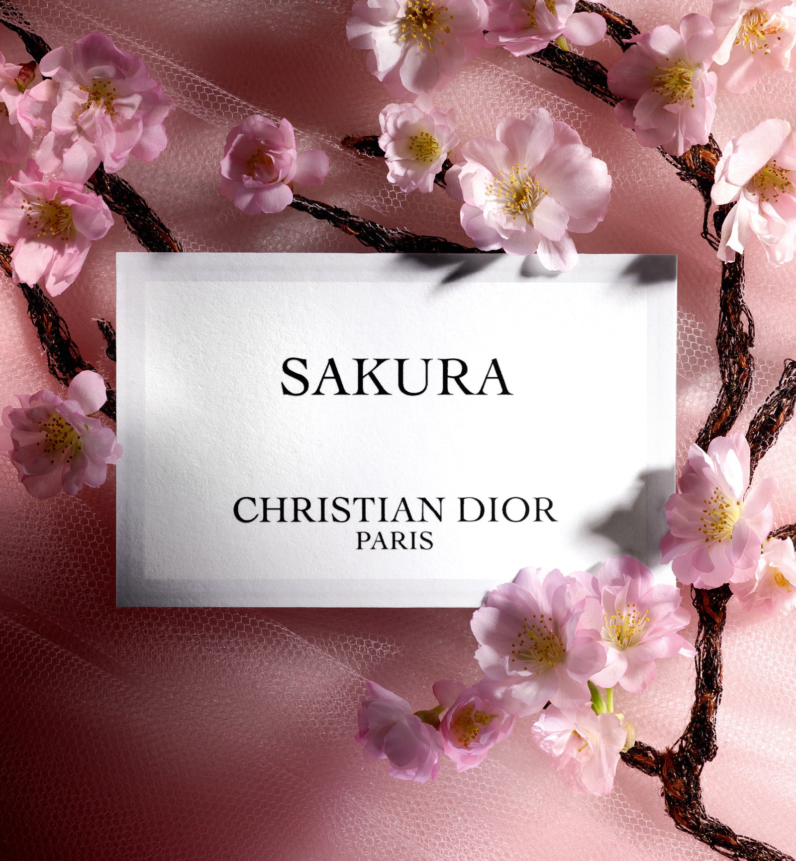 Sakura | La Collection Privée Christian Dior