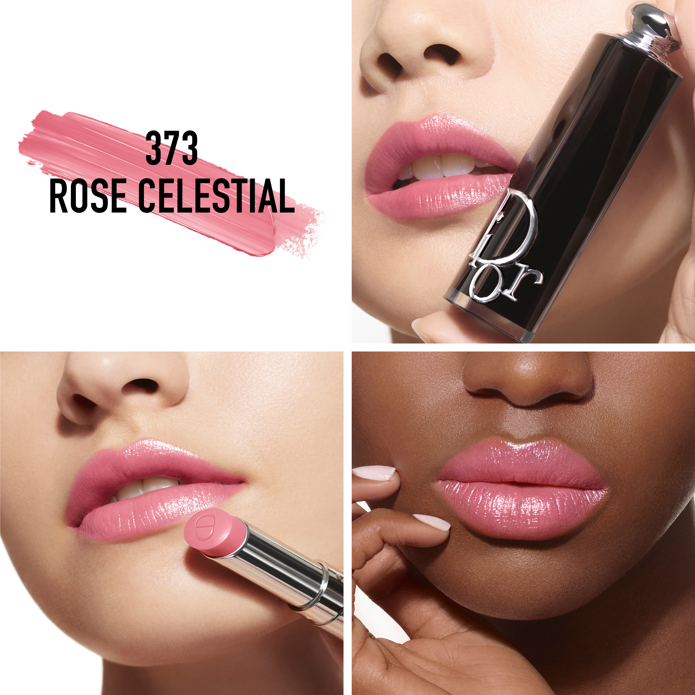 373-Rose-Celestial